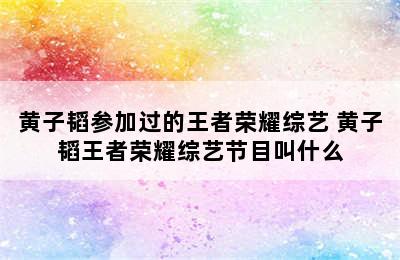 黄子韬参加过的王者荣耀综艺 黄子韬王者荣耀综艺节目叫什么